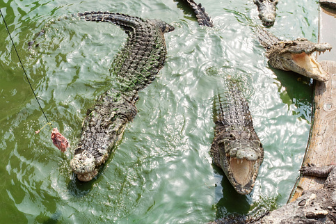 Загрузка ...