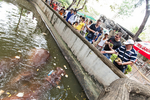 Загрузка ...