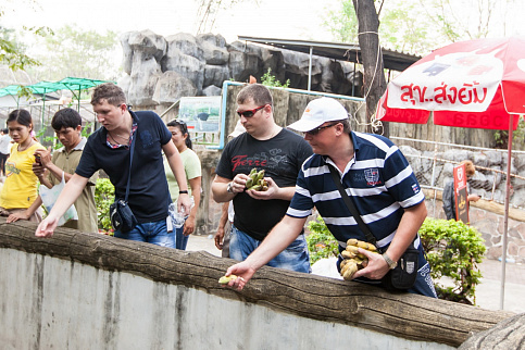 Загрузка ...