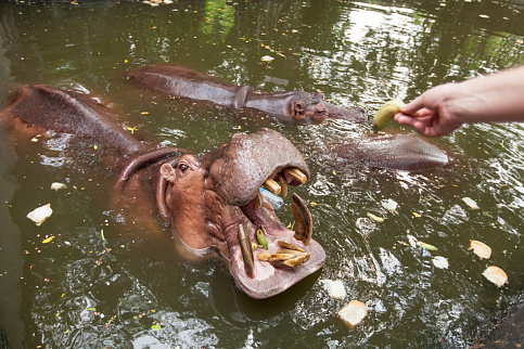 Загрузка ...