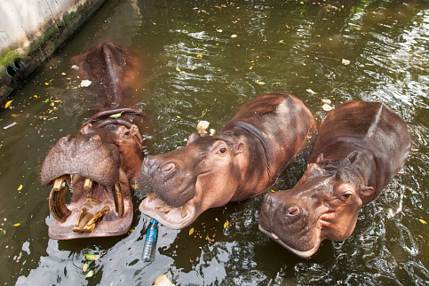 Загрузка ...