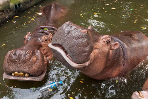 Загрузка ...