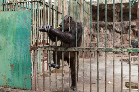 Загрузка ...