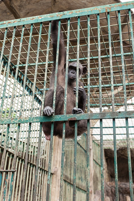 Загрузка ...