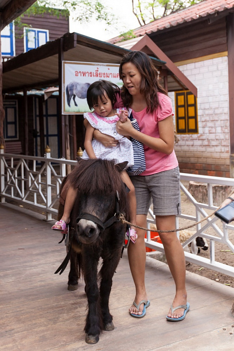 Загрузка ...