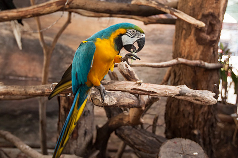 Загрузка ...