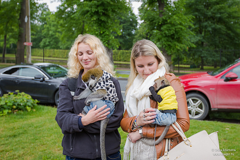 Загрузка ...