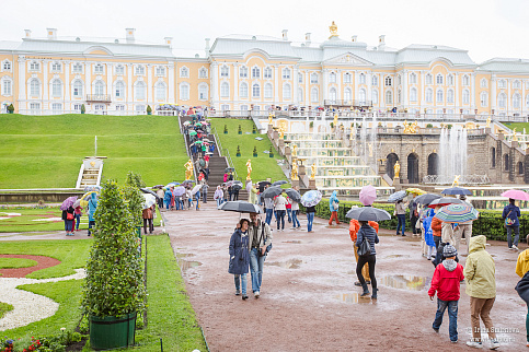 Загрузка ...