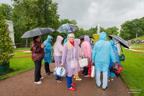 Загрузка ...