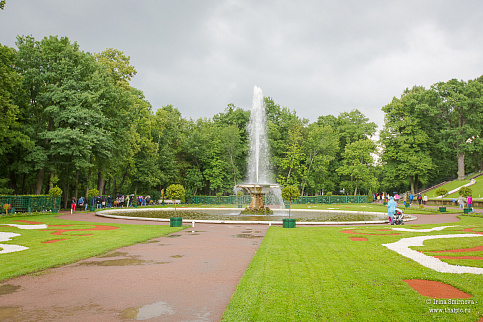 Загрузка ...