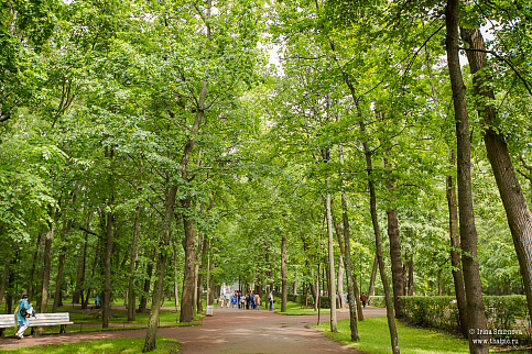 Загрузка ...