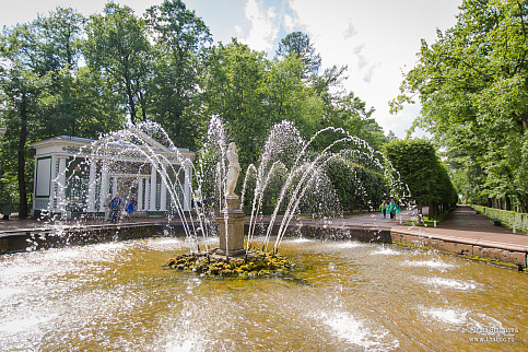 Загрузка ...