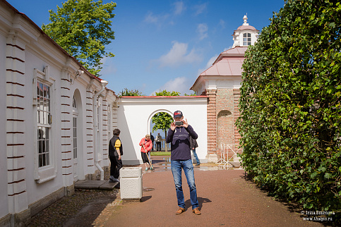 Загрузка ...