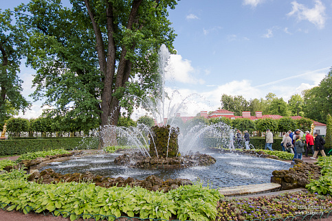 Загрузка ...