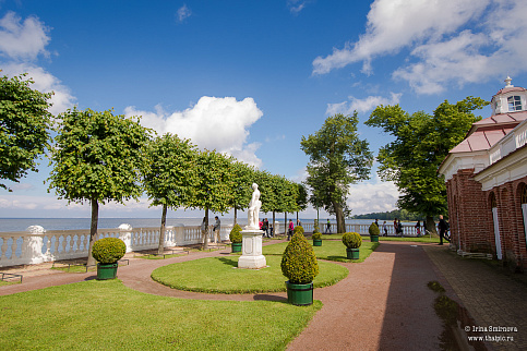 Загрузка ...